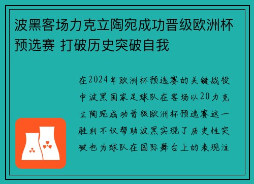 波黑客场力克立陶宛成功晋级欧洲杯预选赛 打破历史突破自我